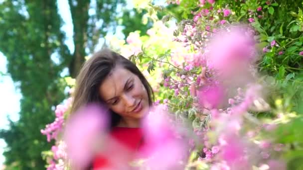 Весняна жінка у квітковому парку. Дівчина виростила сад. Літня природа. Відкритий сонячний портрет . — стокове відео