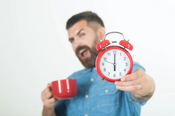 Hombre con alarma mañana. Descanso de refresco y energía. hipster con taza de leche, hora, reloj sobre fondo blanco. Hombre beber café de la mañana o té con despertador. — Foto de Stock