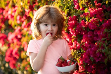 Çilekli şirin, mutlu erkek bebek, açık havada..