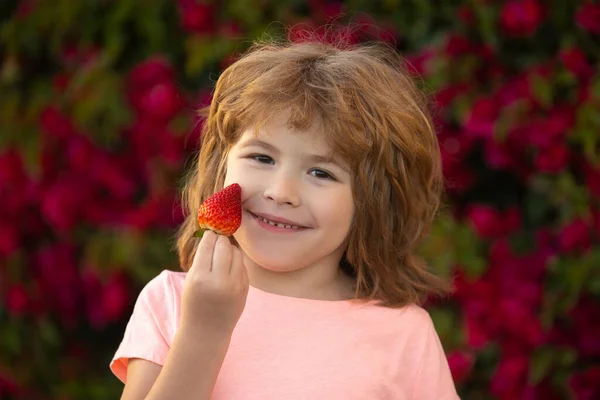 健康な子供たち食べ物子供の面白い肖像画。かわいい男の子がイチゴを食べる. — ストック写真