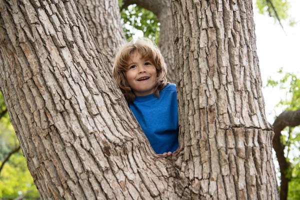 Portrét roztomilého chlapečka sedícího na velkém starém stromě v letní den. Dítě leze na strom. Malý chlapec sedí na větvi stromu venku. Aktivní chlapec hraje v parku. — Stock fotografie