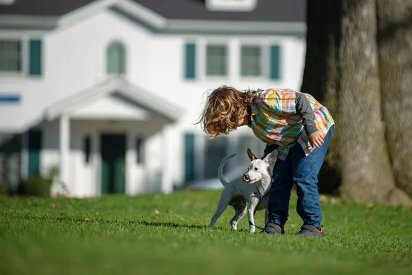 Dışarıda oynayan sevimli çocuk ve köpek yavrusu.. — Stok fotoğraf
