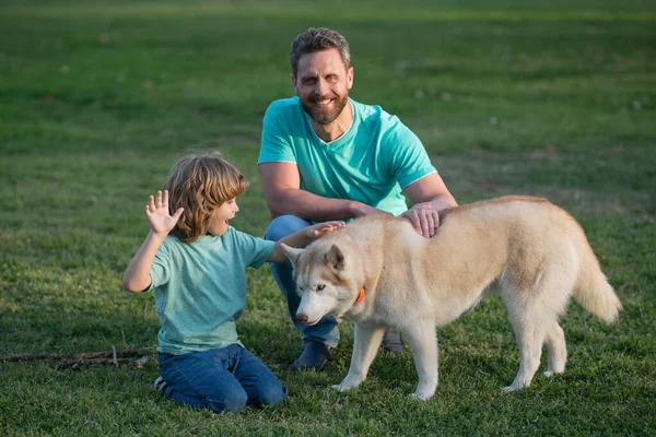 La familia feliz se está divirtiendo con perro husky. Feliz padre y su hijo jugando con el perro en el parque. —  Fotos de Stock