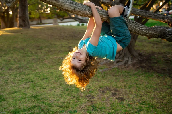 모험 놀이 공원에 올라가는 아이들. 보험 아이들. 아이들을 위한 건강 보험의 개념입니다. 의료 서비스 제공. 나무에 오르려고 안간힘을 쓰는 어린 소년. — 스톡 사진