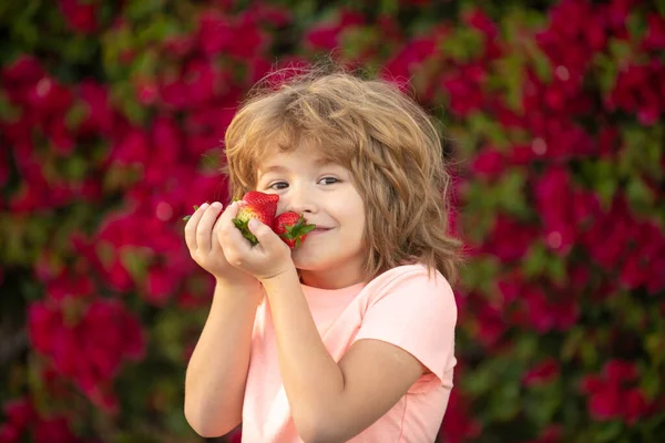 子供は新鮮なイチゴを食べる。イチゴを食べる子供. — ストック写真