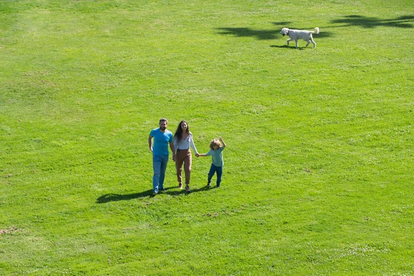 Tempo de lazer familiar. Retrato ao ar livre de família feliz no parque de verão, jovem casal com menino na grama. — Fotografia de Stock