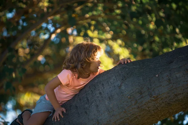 Bonito criança menino pendurado a partir de ramo de árvore. — Fotografia de Stock