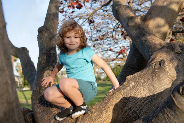 Grabben klättrar i ett träd. Liten pojke klättring i äventyr aktivitetspark. — Stockfoto