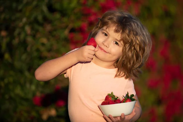 Een kind dat aardbeien plukt en eet. Gelukkig jongetje eet aardbeien. — Stockfoto