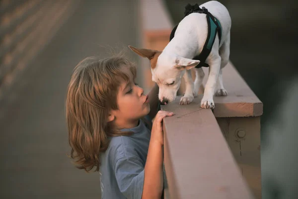 Roztomilé dítě se štěnětem. Chlapec políbí psa. Přátelství, péče mazlíčci, štěstí dětství koncept. — Stock fotografie