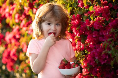Mutlu çocuk çilek yer. Yazın açık havada çilek yiyen tatlı çocuk..