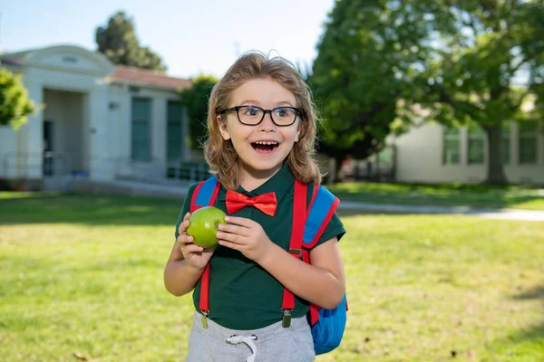 De vuelta a la escuela. Sonriendo asombrado alumno de la escuela primaria. Primer día de otoño otoño. —  Fotos de Stock