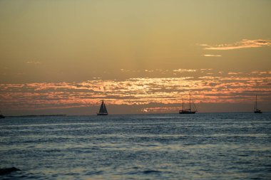 Yelkenli yelkenliler. Okyanus yatı su boyunca yüzüyor..
