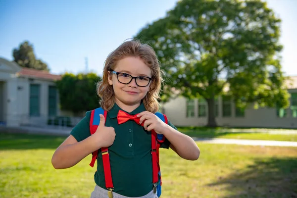 Parmağını kaldırmış gözlüklü mutlu, gülümseyen öğrenci ilk kez okula gidiyor. Okul çantalı çocuk. Okulun dışarıdaki çocuğu.. — Stok fotoğraf