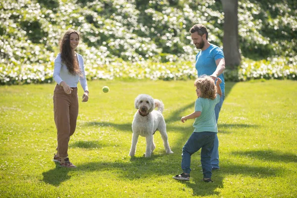 Glückliche Familie beim Sommerspaziergang. Vater Mutter und Kind mit Hund spazieren im Park und genießen die schöne Natur. — Stockfoto