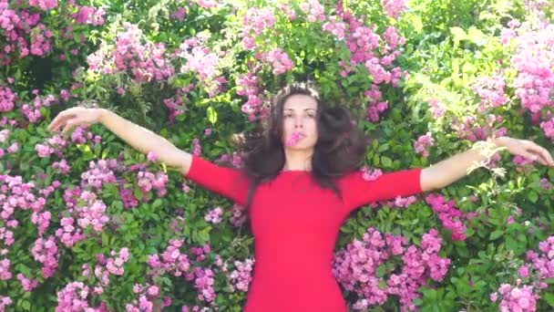 Belleza de primavera. Chica en el jardín de rosas. Mujer en el parque de flores. Naturaleza de verano. Retrato soleado al aire libre. — Vídeo de stock