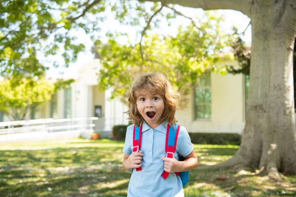 Zurück zur Schule. Aufgeregtes Kind bereit für die Grundschule. Erstaunte Schüler am ersten Schultag. — Stockfoto