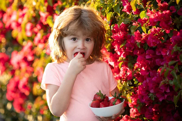 イチゴを食べる素敵な子供。興奮した子供は夏の屋外でイチゴを食べる. — ストック写真