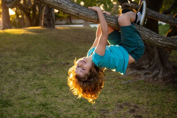 Infância lazer e conceito de atividades infantis. Criança pendurada de cabeça para baixo na árvore e se divertindo no parque de verão. Menino feliz desfrutando do dia de verão em um jardim. — Fotografia de Stock