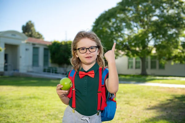 De vuelta a la escuela y a la escuela. Pequeño alumno escolar de vuelta a la escuela en el día del conocimiento. —  Fotos de Stock