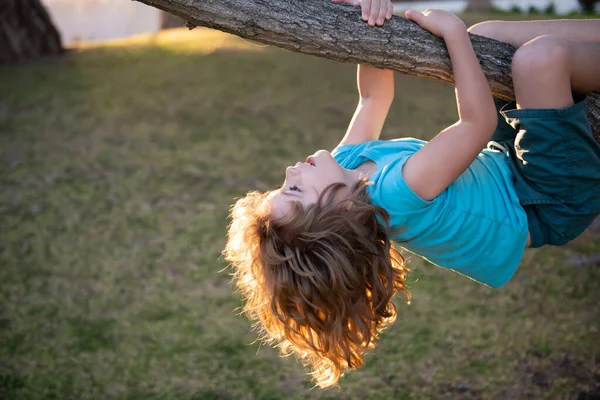 Concepto de ocio infantil y actividades infantiles. Niño colgando boca abajo en el árbol y divertirse en el parque de verano. —  Fotos de Stock