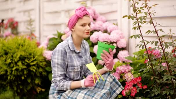 Plantando jardim de flores. Mulher nova que prende uma planta rosa potted do hydrangea em suas mãos, flores das plantas no potenciômetro. Actividade de jardinagem. — Vídeo de Stock