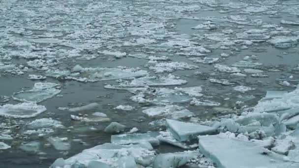 Problema de aquecimento. Alterações climáticas. Gelo no rio. Conceito de problemas mundiais. — Vídeo de Stock