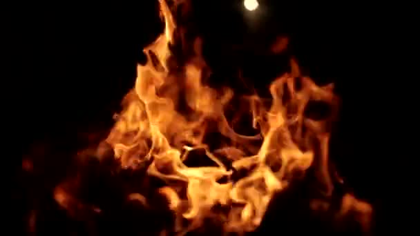 Fire flame on black background. Burning fire flame. Fire texture. — Wideo stockowe