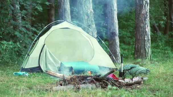 Tenda turchese si trova nella foresta in estate. Escursione, condizioni estreme. tenda vuota nella foresta. — Video Stock