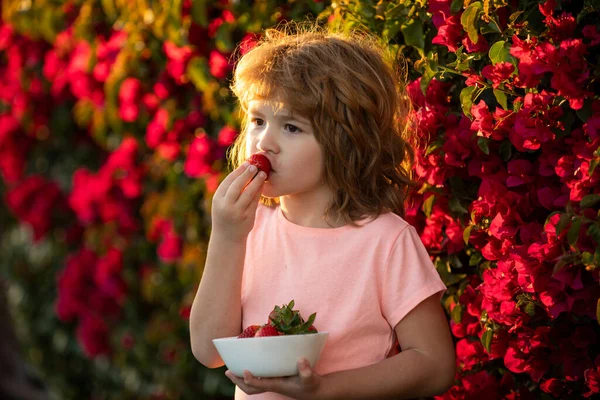 幸せな子供はイチゴを食べる。健康な子供たちの食べ物。有機栄養. — ストック写真