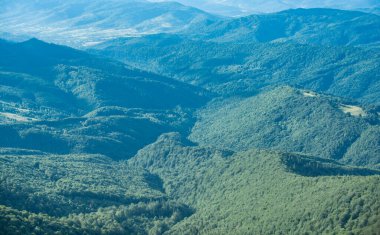 Doğa güzelliği kavramı. Transcarpathia dağ manzarası. Çimen tarlası ve yuvarlanan tepeler panoramik manzara ya da panorama. Kırsal manzara.