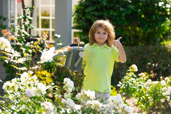 Barnet vattnar en växt med vattenkanna. — Stockfoto