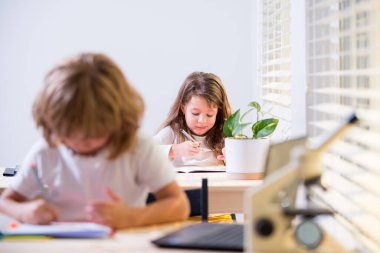 İlkokulun masasında sevimli bir öğrenci yazıyor. İlkokulda test yapan öğrenci kız. Çocuklar ders sırasında sınıfta notlar yazıyorlar..