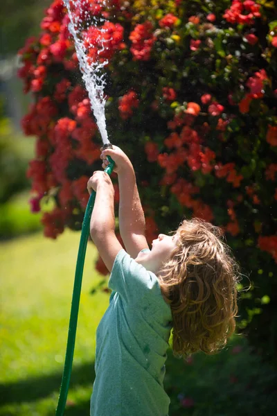 Мальчик поливает растения из шланга водяным шлангом в саду на заднем дворе дома летним вечером. — стоковое фото