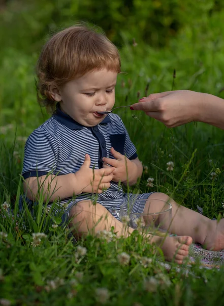 Una cuchara alimentando al bebé. Lindo bebé comiendo comida saludable. Alimentación con cuchara al aire libre sobre hierba verde. Ración de verano, guardería. Buenos días en la Granja. — Foto de Stock