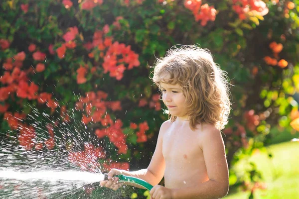 Dzieciak bawiący się w ogrodzie, wylewa z węża, sprawia, że pada deszcz. Szczęśliwego dzieciństwa. Dziecko wylewające wodę na drzewa. Opieka nad roślinami na podwórku. — Zdjęcie stockowe