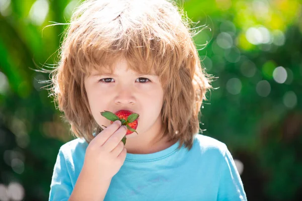 Niño encantador comiendo fresas sobre fondo verde primavera. — Foto de Stock