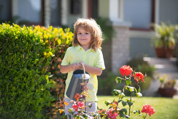 Активний дитина поливає рослини на задньому дворі. Дитина допомагає аттрам вирощувати трави і квіти в саду . — стокове фото