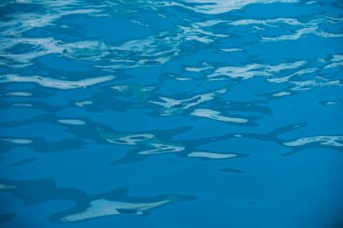 Tansken 'in sakin su yüzeyi dokusu. Soyut doğa geçmişi. Deniz suyu deseni.