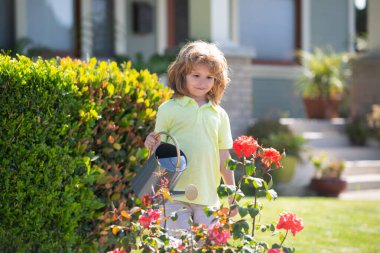 Amerikalı çocukların çocukluğu. Bahçede çiçekleri sulayan çocuk. Evde bahçe işleri.