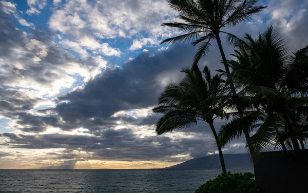 Beach and tropical sunset sea. Nature ocean landscape background. Coconut palm trees. — Stock Photo, Image