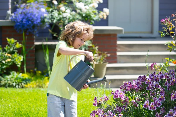 Милый малыш поливает растения лейкой банкой в саду. Ребенок помогает родителям выращивать цветы во дворе. Активный отдых с детьми на свежем воздухе. — стоковое фото