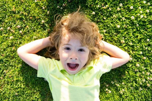 兴奋的小孩躺在草地上,把可爱的小孩的头贴在夏天的自然公园里.孩子们享受夏天. — 图库照片