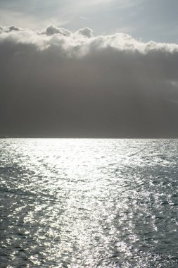 Tropik bir plajda yaz tatili. Kum ve deniz suyuyla dolu cennet kumsalı. Okyanus sahili arka planı.