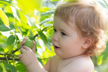 Doğa parkında yeşil yapraklı komik çocuk yüzü. Çocukların bebeklik portresi.