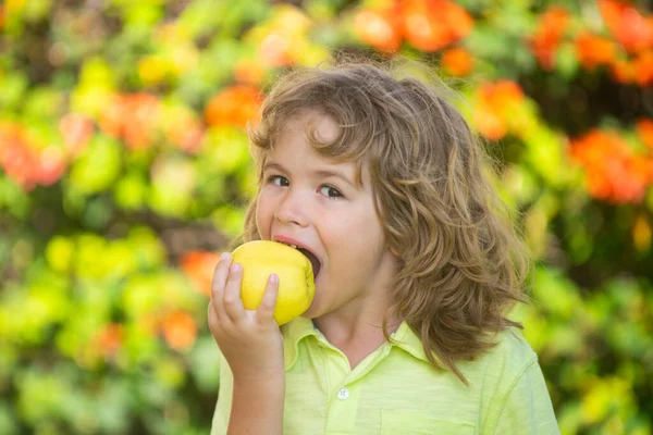 Rapazinho feliz a comer maçã verde. Criança sorridente segurando e come maçã fresca, fundo do jardim. Retrato de bonito criança feliz morde maçã. — Fotografia de Stock