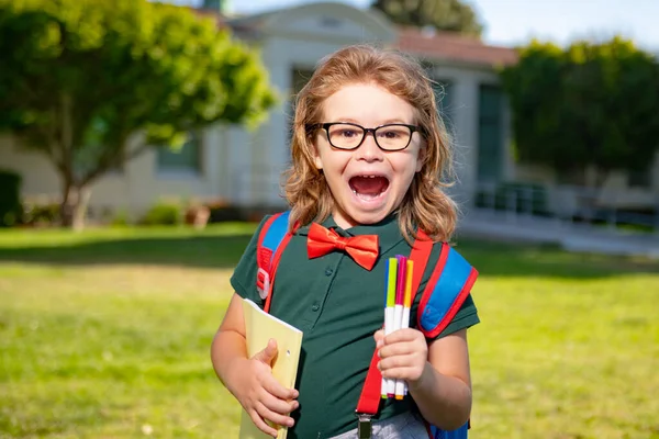Повернутися до школи. Щасливий усміхнений схвильований учень з початкової школи. Перший день осені осінь . — стокове фото