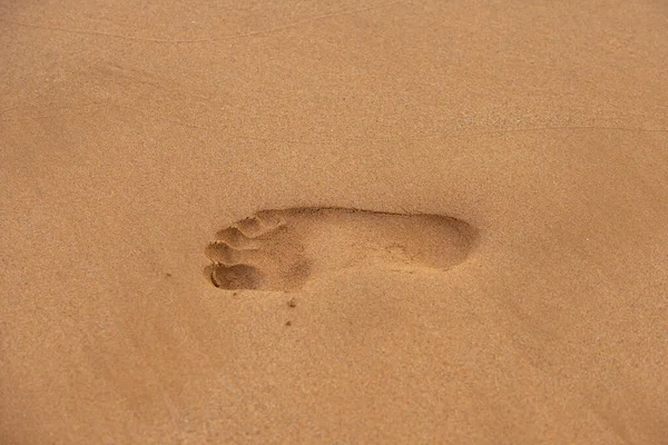Empreintes dans le sable. Empreintes humaines sur sable de plage. — Photo