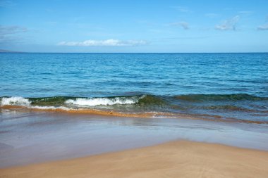Plaj ve tropikal deniz. Doğanın okyanus manzarası.