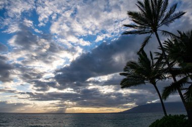 Kum, okyanus, palmiye yaprakları, palmiye ağaçları ve mavi gökyüzü olan tropik deniz plajı. Yaz sahili geçmişi.